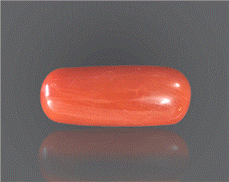 Natural Coral  7.82RTS-27431